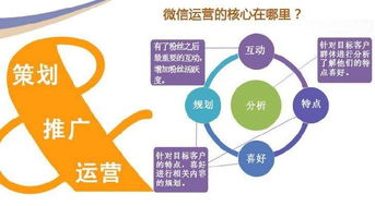 金華網站建設指千引 論企業網站建設的必要性與網絡技術服務價值
